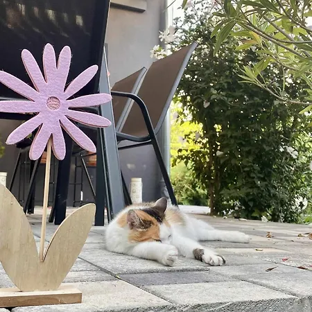 Home Apartman * Nagyesztergar