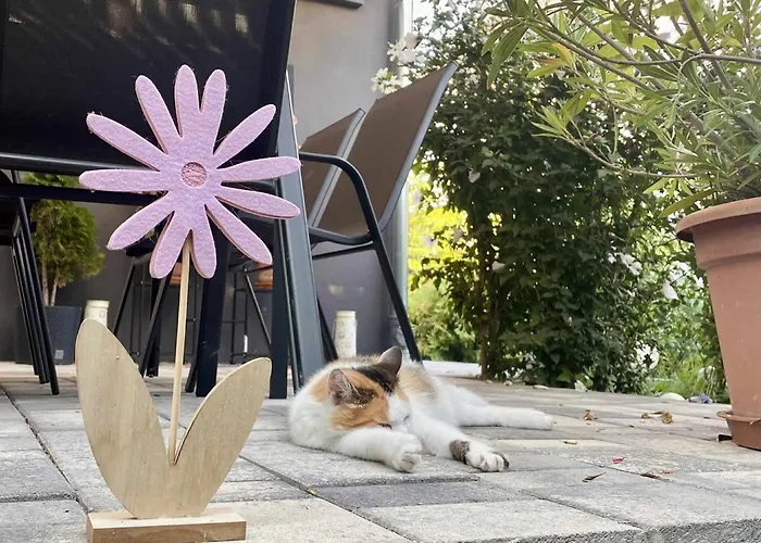 Home Apartman * Nagyesztergar